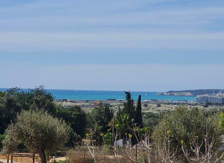 Aamiaismajoitus (B&B) Monte Da Saudade