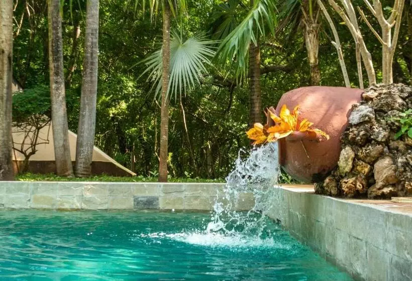Eleven Pearl Boutique Hotel & Spa