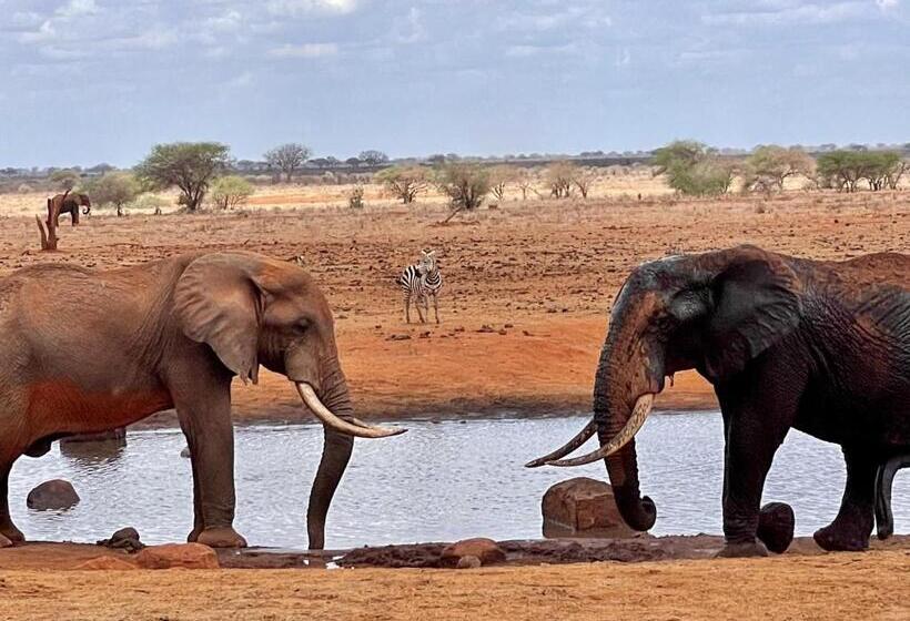 Eleven Pearl Boutique Hotel & Spa