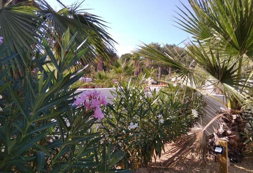 ホテル Costa Bahia