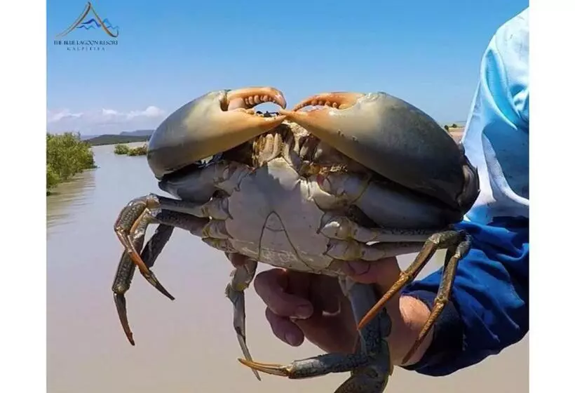 Hotelli The Blue Lagoon Resort  Kalpitiya