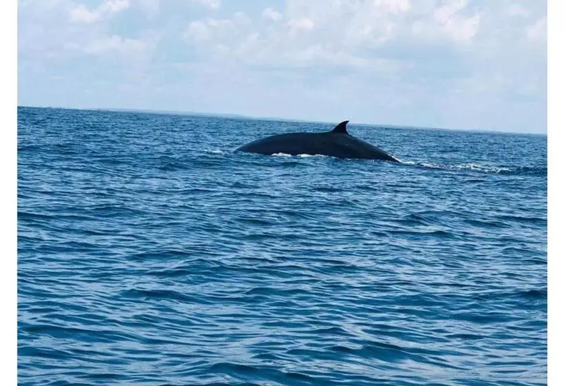 Hotelli The Blue Lagoon Resort  Kalpitiya