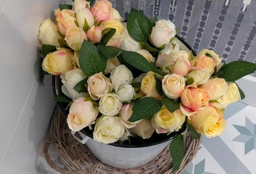 بنسيون Blaucel Cafè I Habitacions