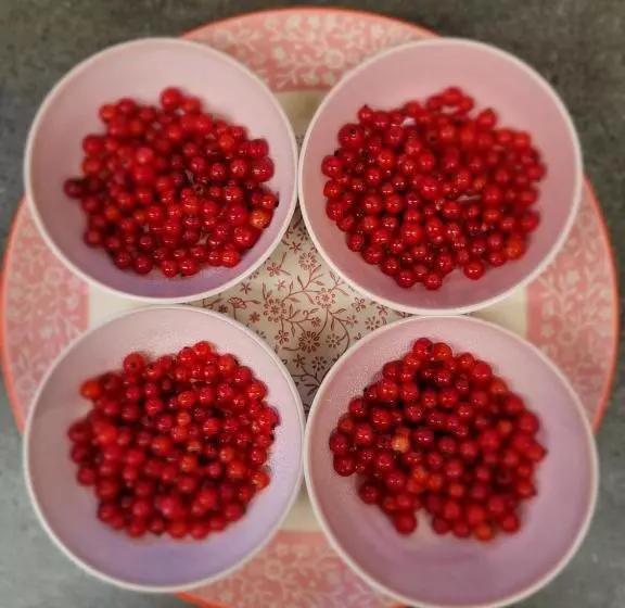 Majatalo Chambres D Hotes Rue Saint Bernard