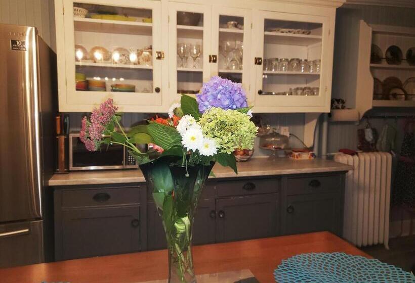 بنسيون The Jellybean Heritage Inn