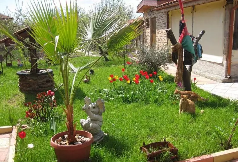 پانسیون Albena Guest House