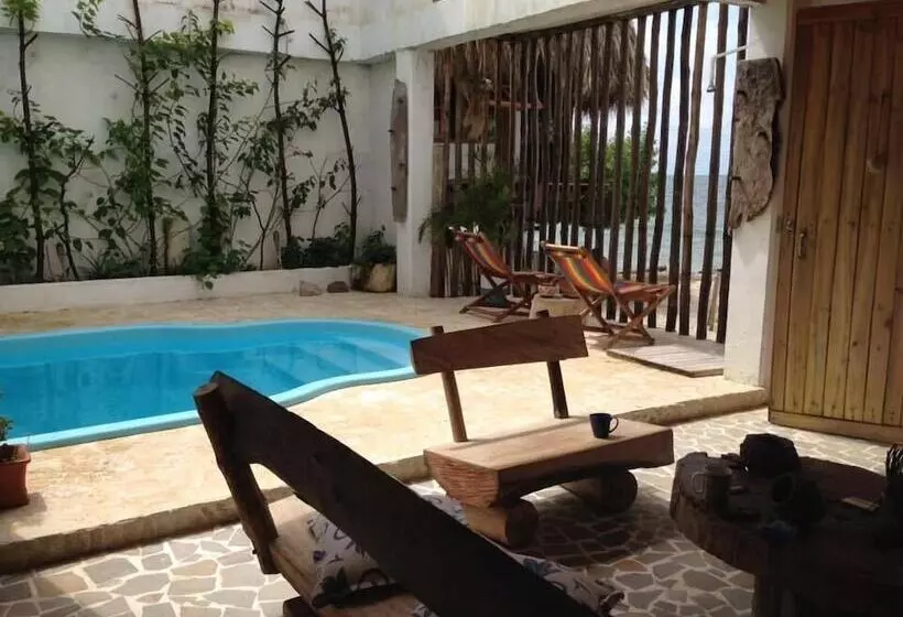 ペンション Casa Sattva  Bed & Breakfast