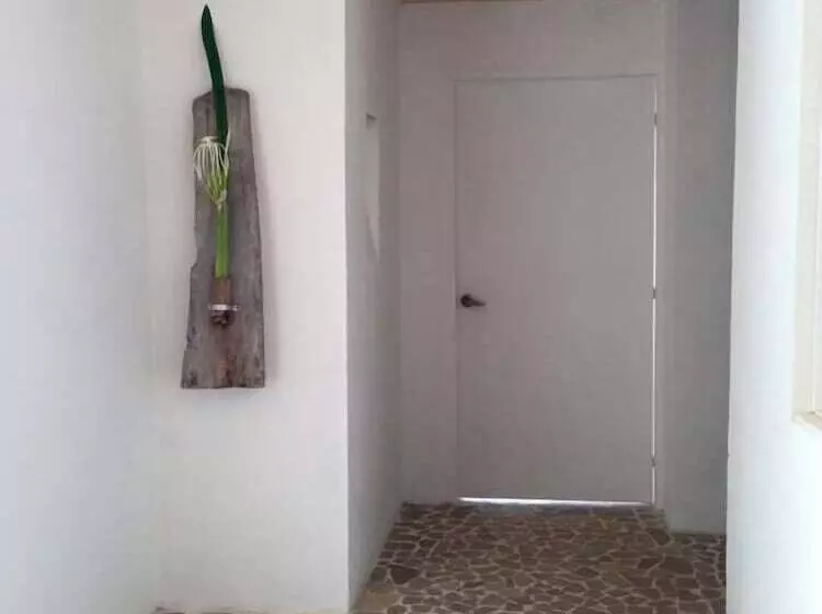 ペンション Casa Sattva  Bed & Breakfast