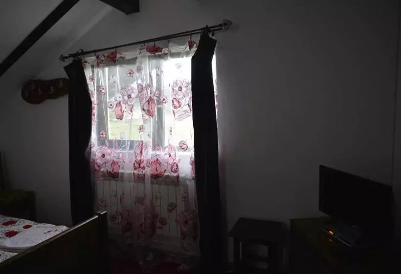 ペンション Vila Maria Săsciori Sebeş