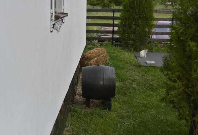 بنسيون Vila Maria Săsciori Sebeş