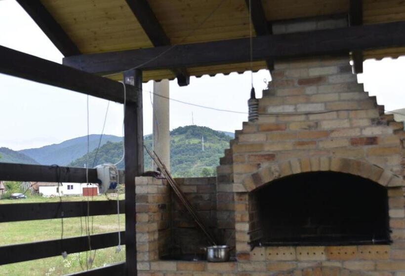 بنسيون Vila Maria Săsciori Sebeş