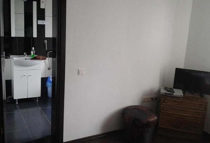 بنسيون Vila Maria Săsciori Sebeş