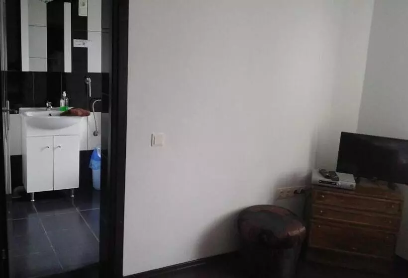 ペンション Vila Maria Săsciori Sebeş