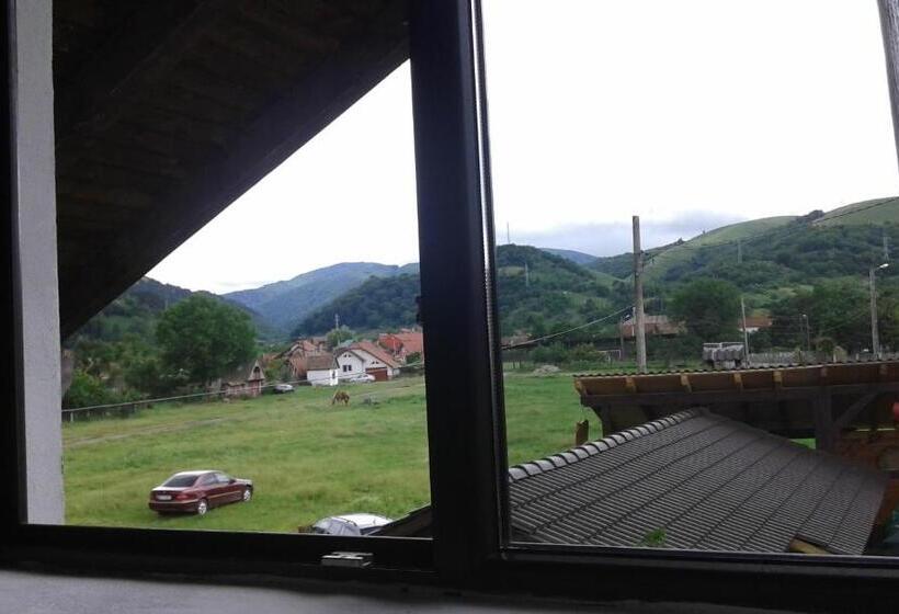 بنسيون Vila Maria Săsciori Sebeş