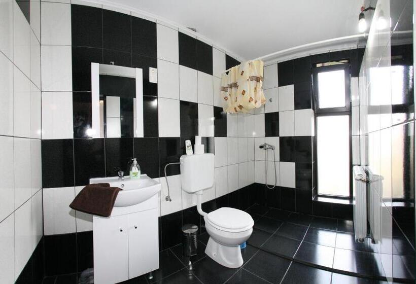 بنسيون Vila Maria Săsciori Sebeş