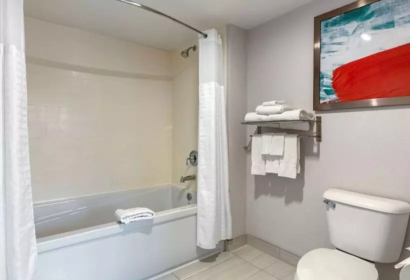 호텔 Comfort Inn & Suites