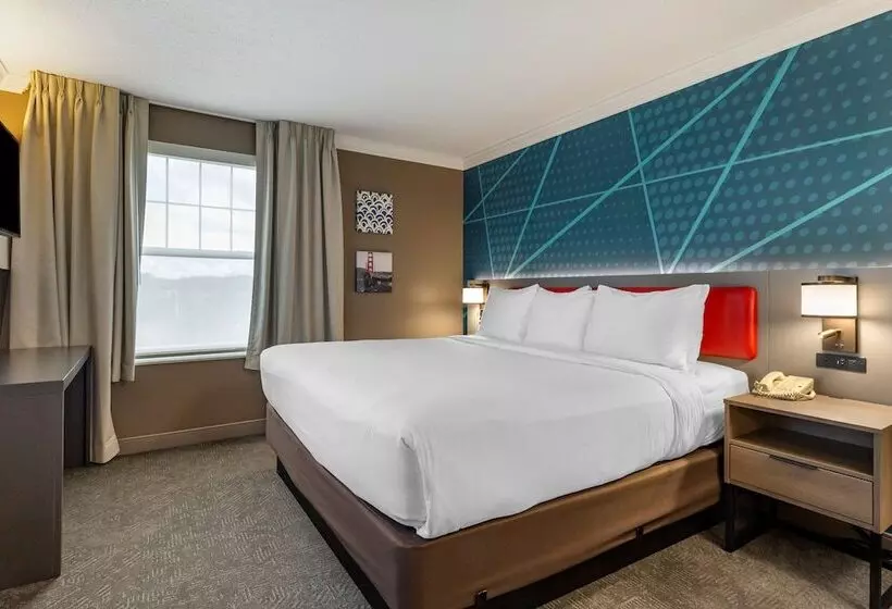 호텔 Comfort Inn & Suites