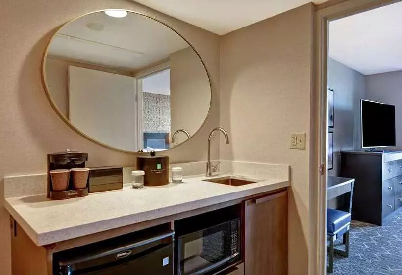 Hotel Embassy Suites By Hilton Minneapolisairport