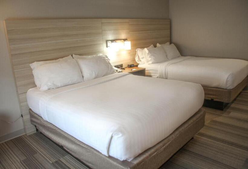 Holiday Inn Express Hotel & Suites Athens, An Ihg