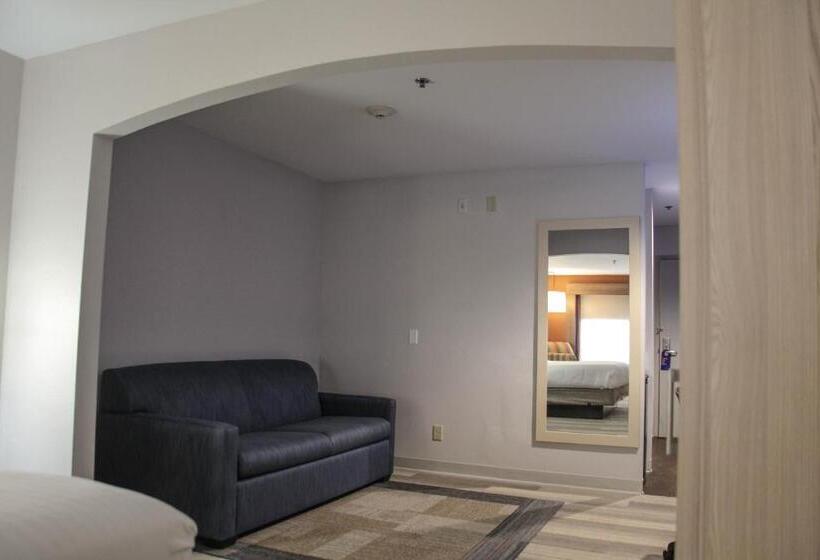 Holiday Inn Express Hotel & Suites Athens, An Ihg