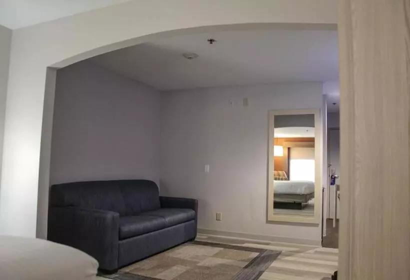 Holiday Inn Express Hotel & Suites Athens, An Ihg