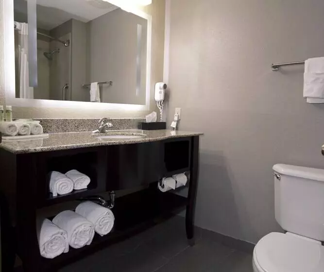 酒店 Holiday Inn Express Adrian, An Ihg