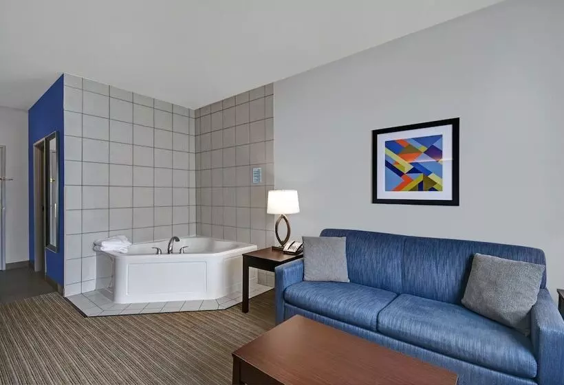 酒店 Holiday Inn Express Adrian, An Ihg