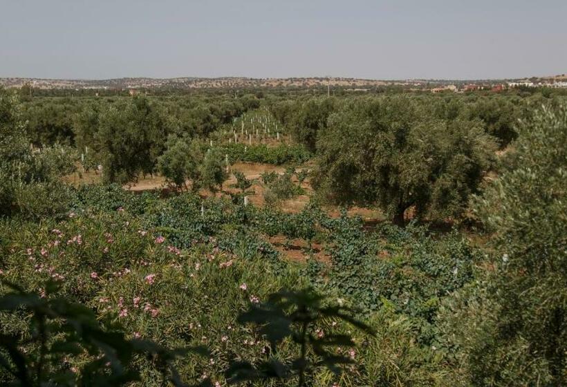 Bed and Breakfast Ryad De Vignes  Le Val D Argan