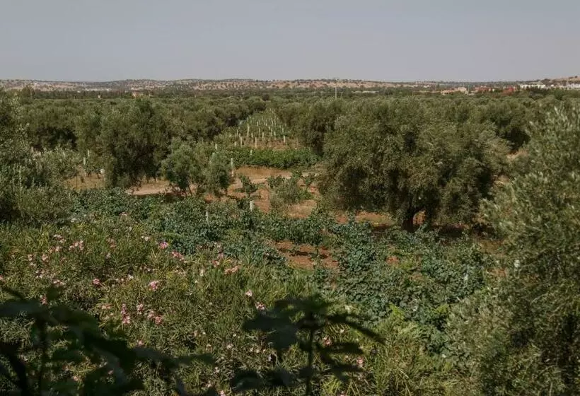 Aamiaismajoitus (B&B) Ryad De Vignes  Le Val D Argan