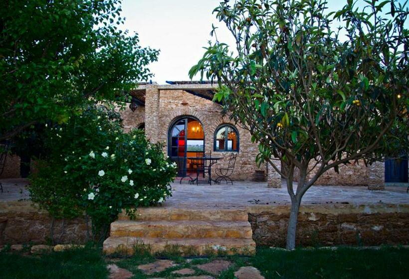 Bed and Breakfast Ryad De Vignes  Le Val D Argan