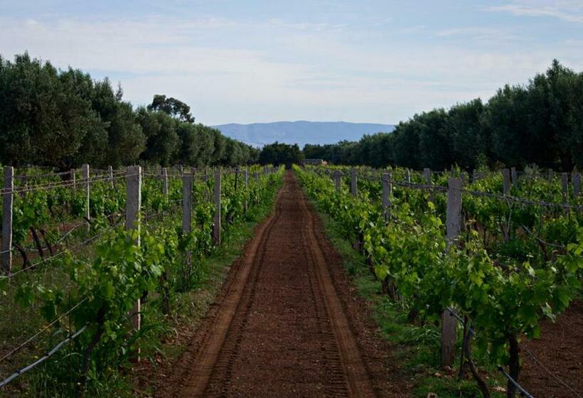 Bed and Breakfast Ryad De Vignes  Le Val D Argan