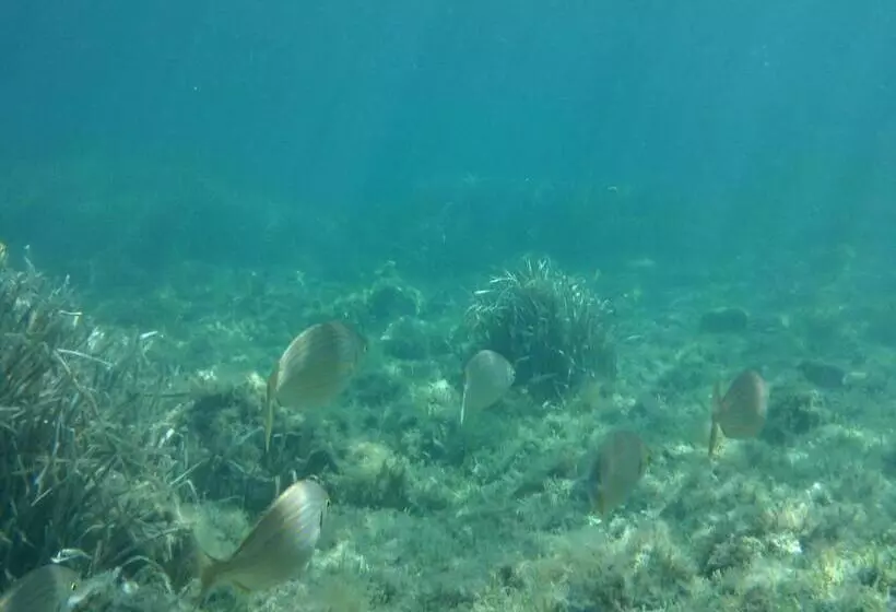 Aamiaismajoitus (B&B) S Archittu Bed&breakfast