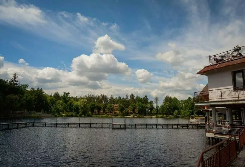 Hotelli заміський комплекс пуща лісна