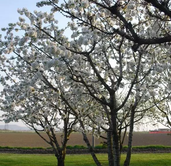 هتل Agriturismo La Lupa