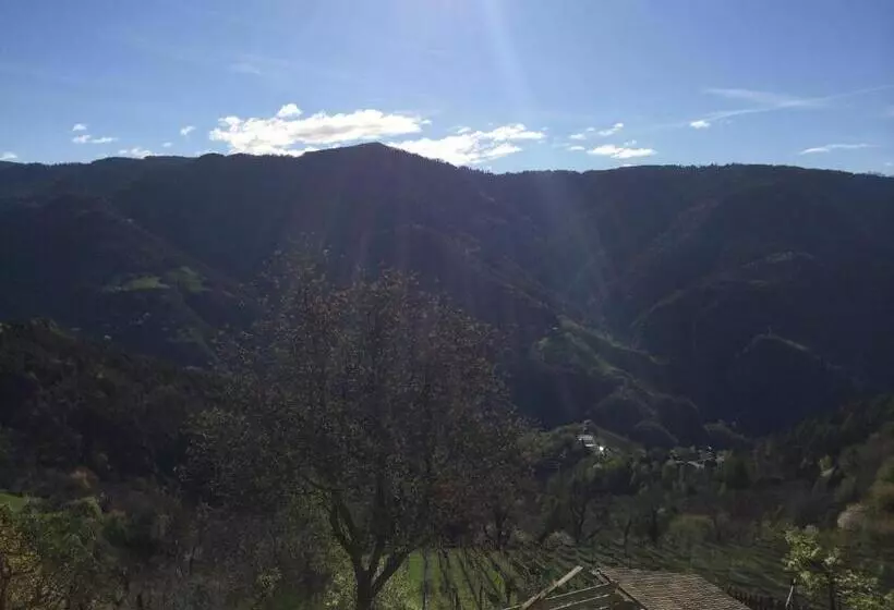 Hotelli Gruberhof