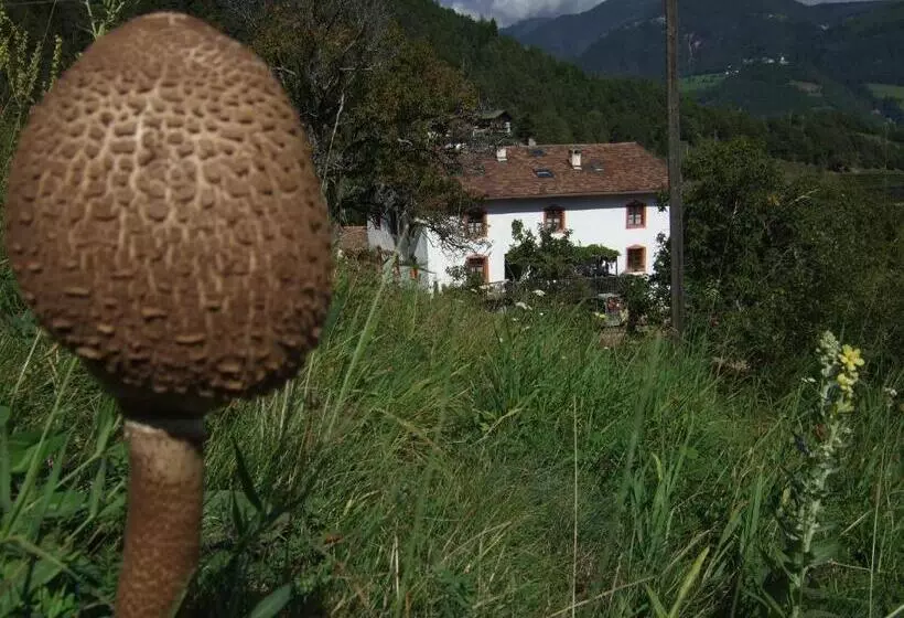 Hotelli Gruberhof