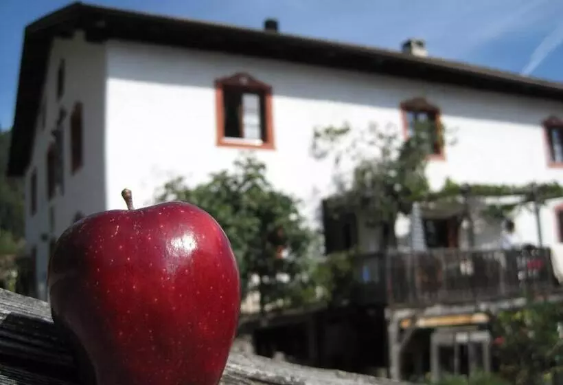 Hotelli Gruberhof