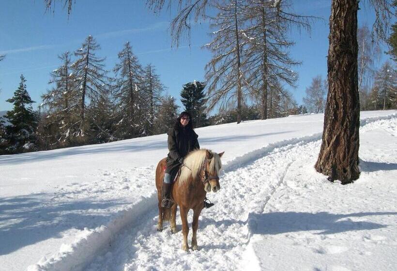 בית מלון כפרי Tschögglbergerhof
