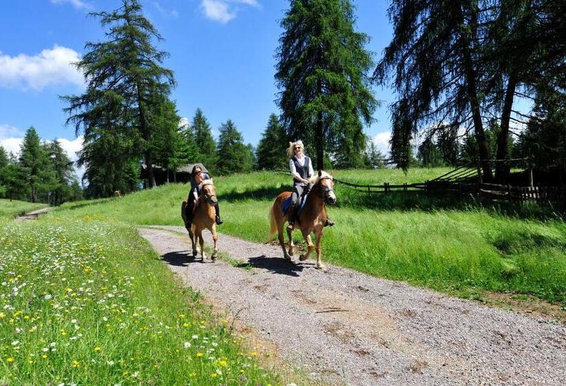 בית מלון כפרי Tschögglbergerhof