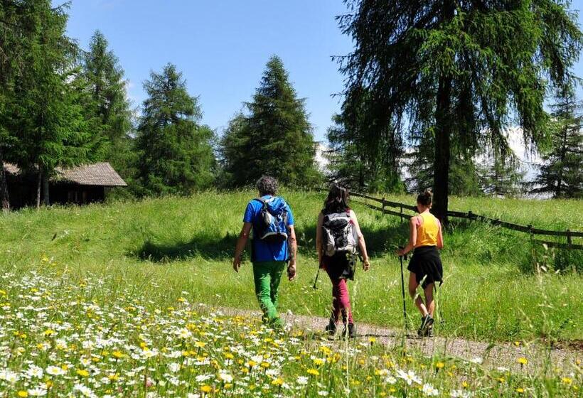 בית מלון כפרי Tschögglbergerhof