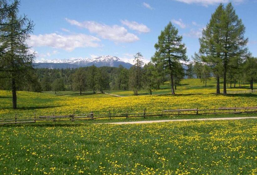 בית מלון כפרי Tschögglbergerhof