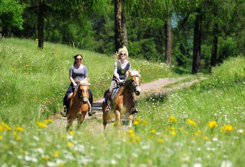 בית מלון כפרי Tschögglbergerhof