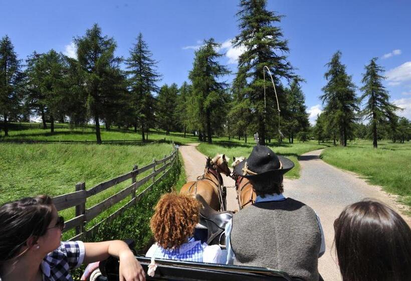 בית מלון כפרי Tschögglbergerhof