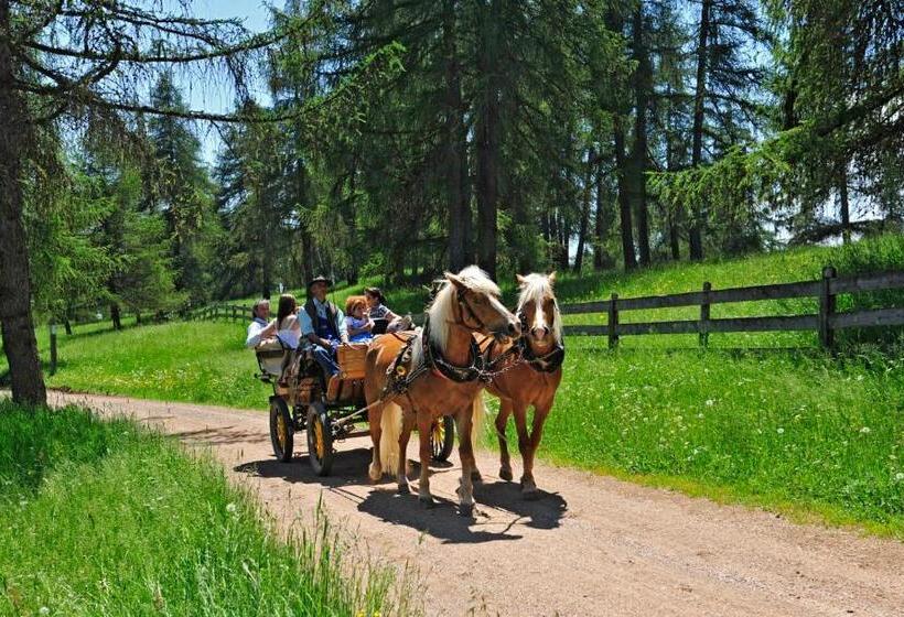 בית מלון כפרי Tschögglbergerhof