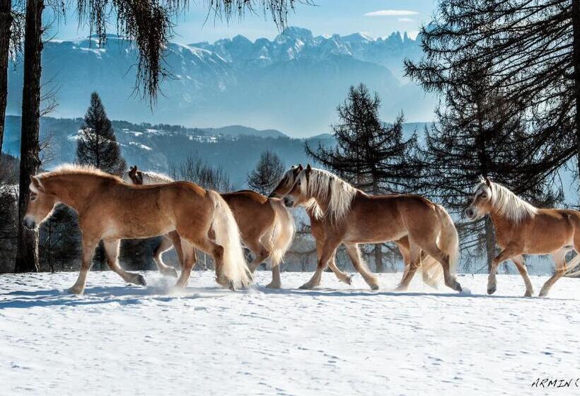 בית מלון כפרי Tschögglbergerhof