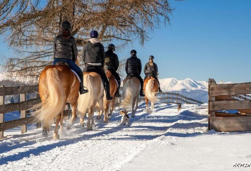 בית מלון כפרי Tschögglbergerhof