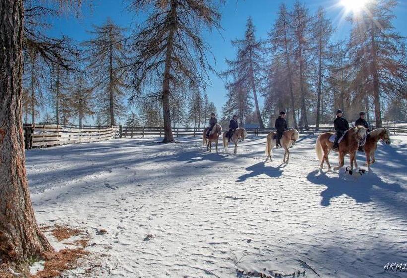 בית מלון כפרי Tschögglbergerhof