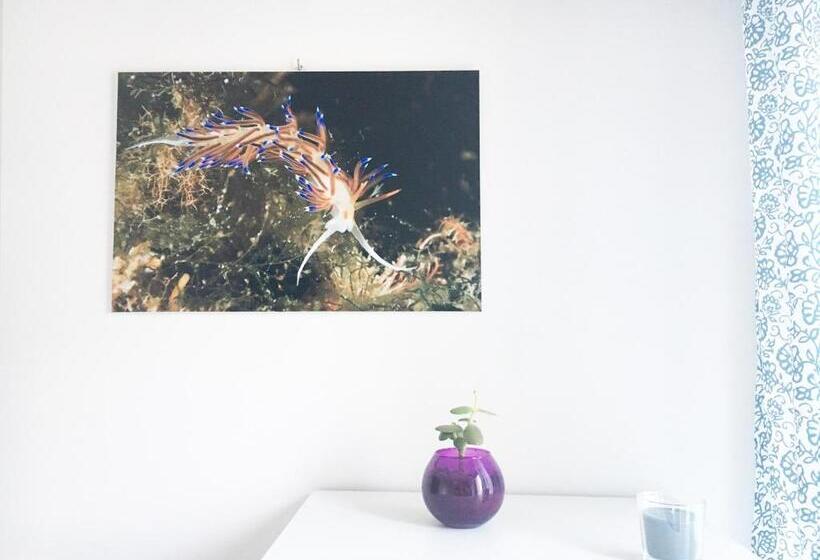 Majatalo Blu Rooms Marettimo