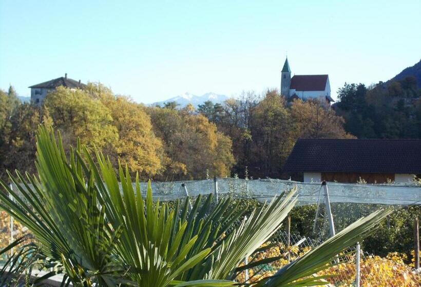 פנסיון Felsenegg