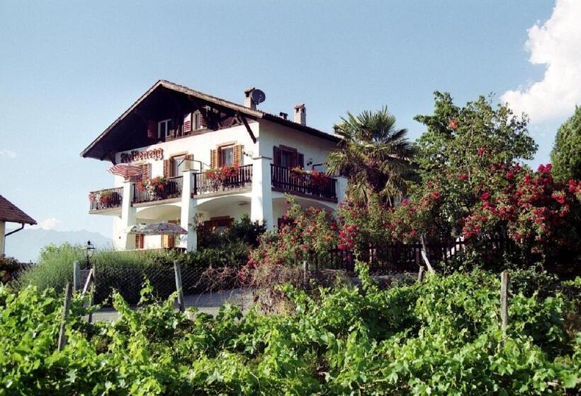 פנסיון Felsenegg